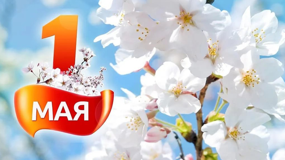 Руководители Владимирской области поздравляют жителей Владимирской области с Днём весны и труда!