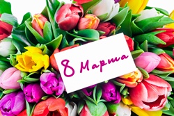 Руководители Владимирской области поздравляют женщин с Международным женским днём!