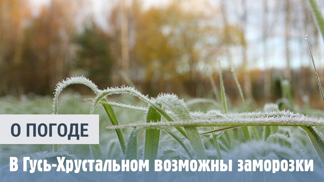 В период с 24 по 26 мая в ночные и утренние часы в отдельных районах Владимирской области ожидаются заморозки с температурой 0…-1