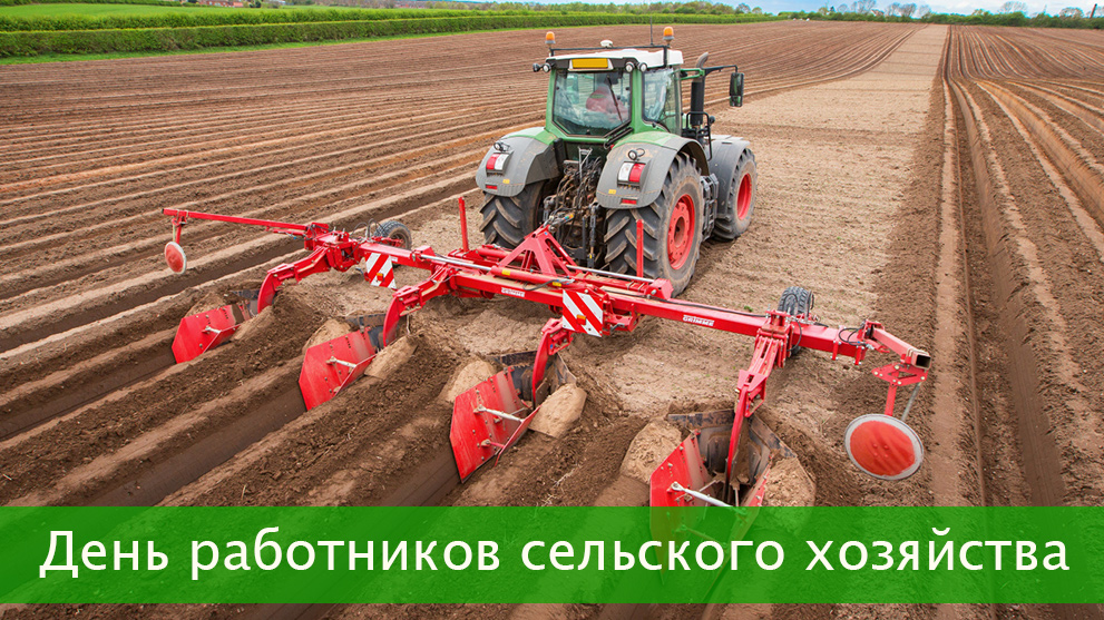 День работников сельского хозяйства (второе воскресенье октября)