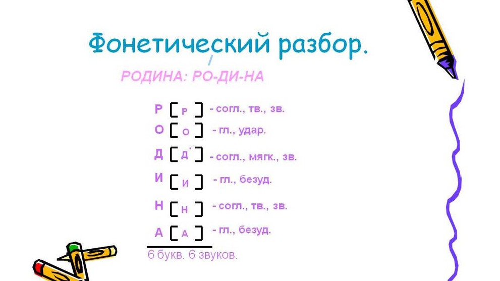 Разделы науки о языке. Фонетика. Орфография. Фонетический разбор слова. 6-й класс