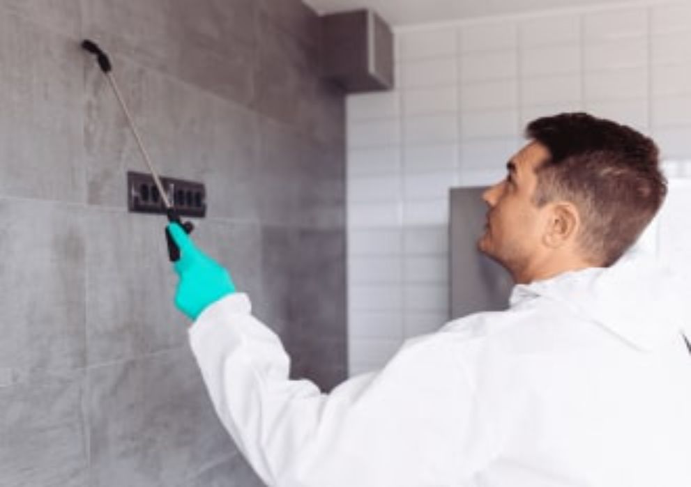 Профилактика и удаление плесени