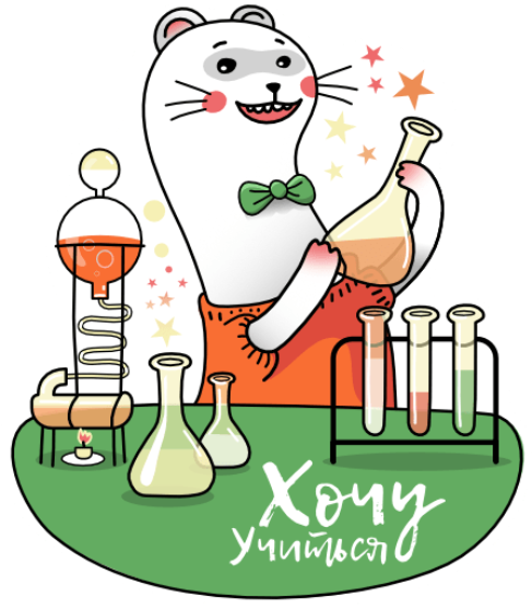 Дистанционное обучение в 11 классе