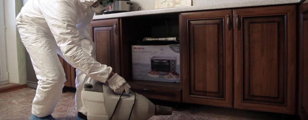 Услуги дезинсекции и дезинфекции: информация на официальном сайте СЭС Москвы