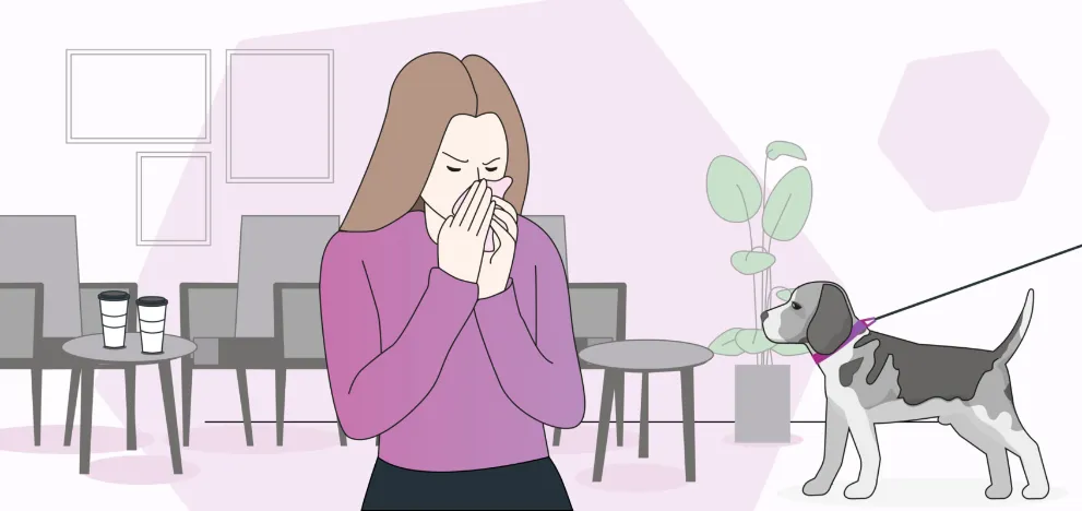 Как домашний спа-уход за собакой помогает вернуть комфорт и спокойствие