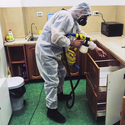 Уничтожение тараканов в Москве