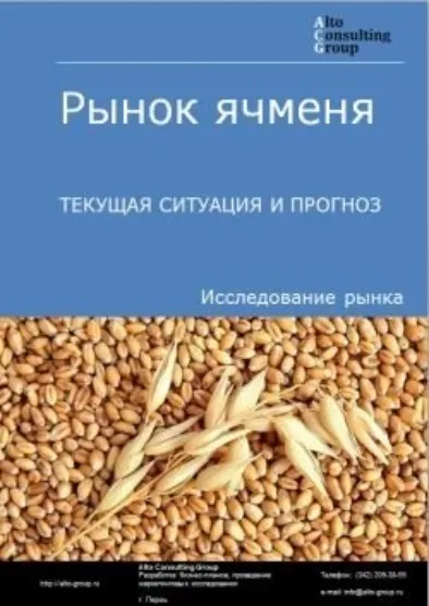 Анализ рынка ячменя в России: текущая ситуация и будущее