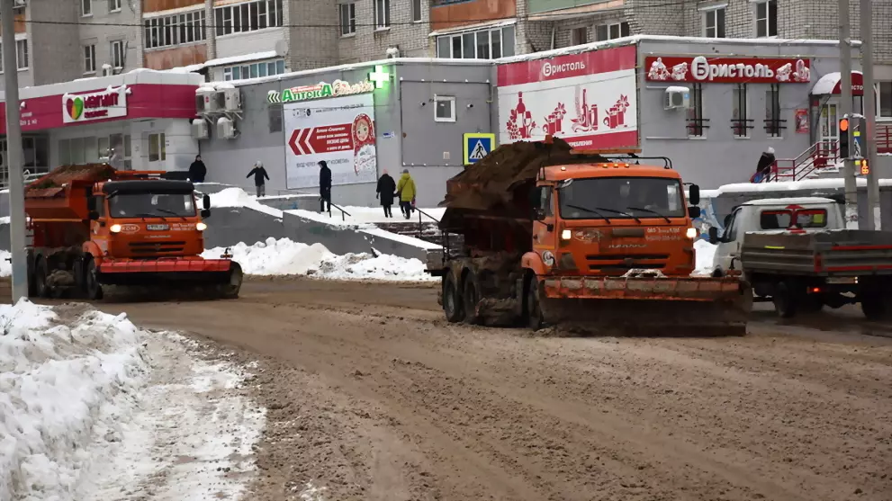 Зимы без снега не бы...