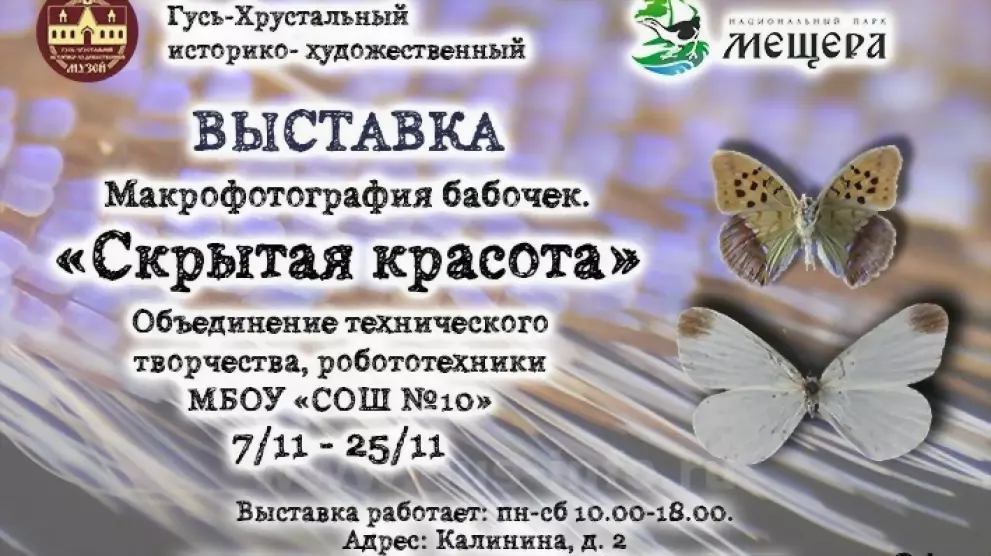 Художественно-технич...