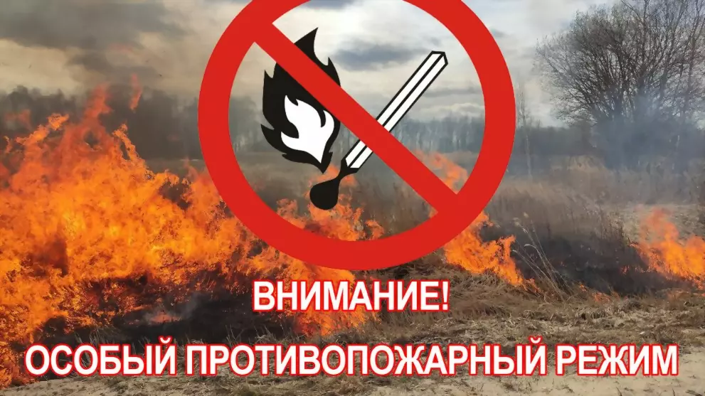 С 10 апреля во Влади...