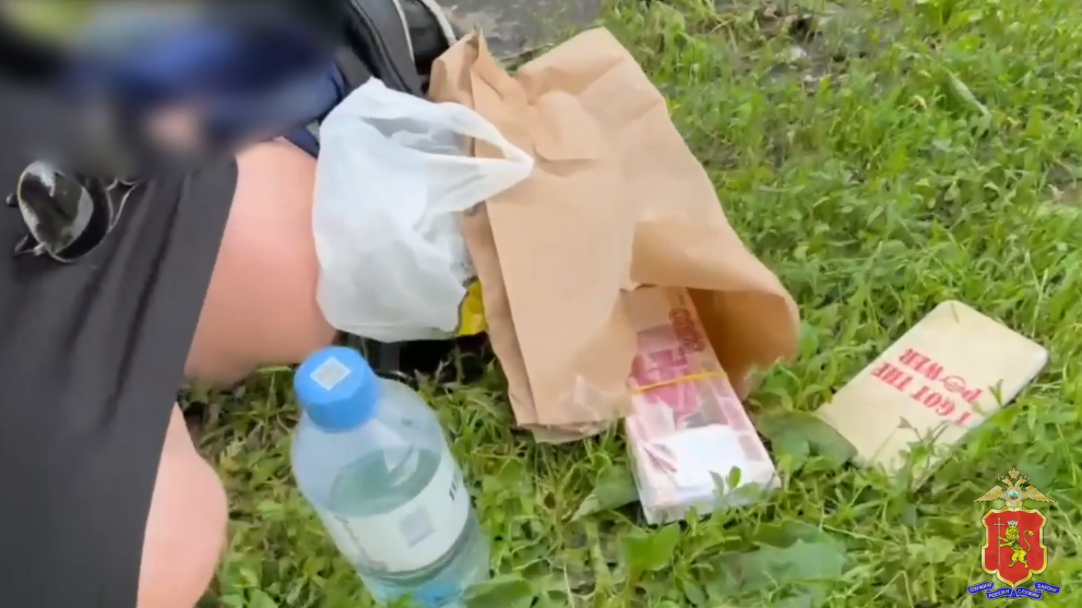 Во Владимире пенсион...