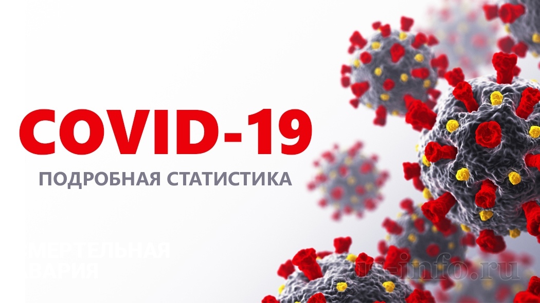 По состоянию на 6 июня во Владимирской области подтверждено 17 новых случаев заболевания COVID-19