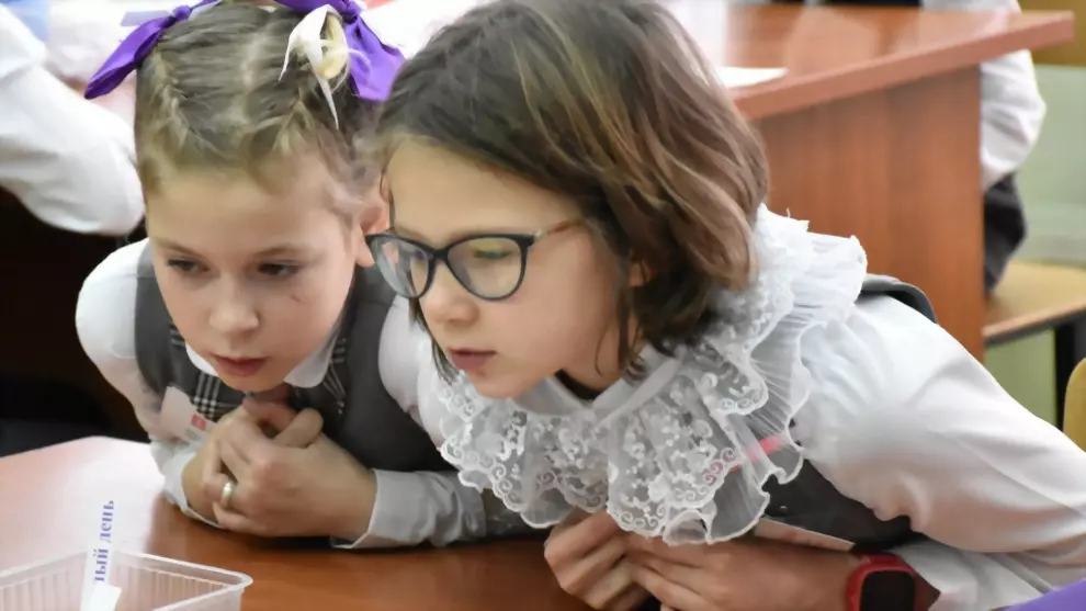 Дети из Гусь-Хрустал...