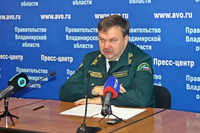 Владимирская область...