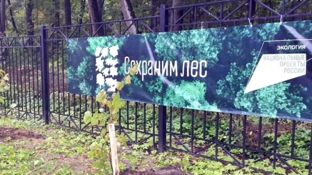 Более 47 тысяч дерев...