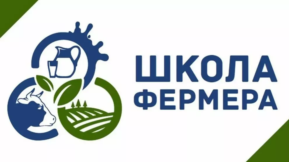 Во Владимирской обла...