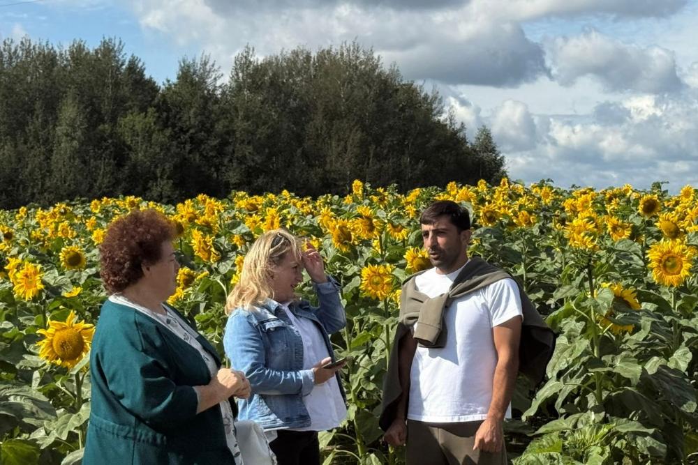 Во Владимирской обла...