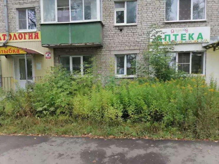 Мониторинг покоса га...