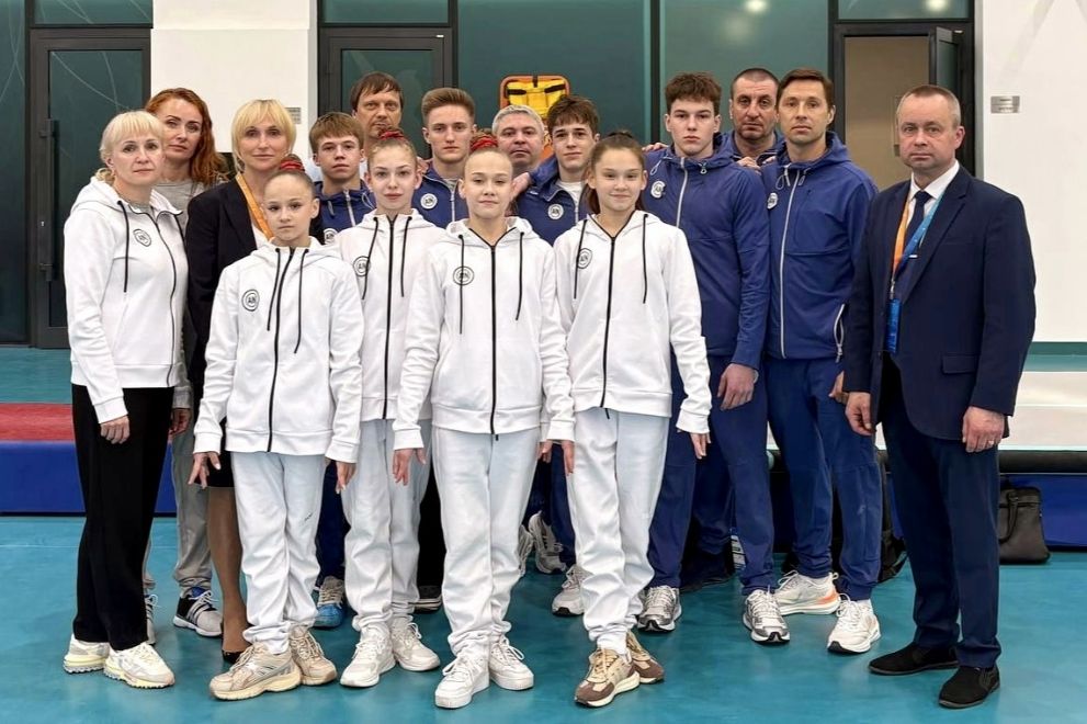 Владимирские гимнаст...