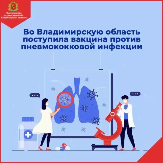 Во Владимирскую обла...