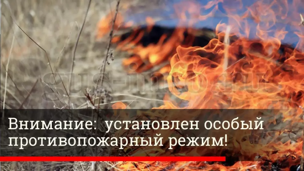 Во Владимирской обла...