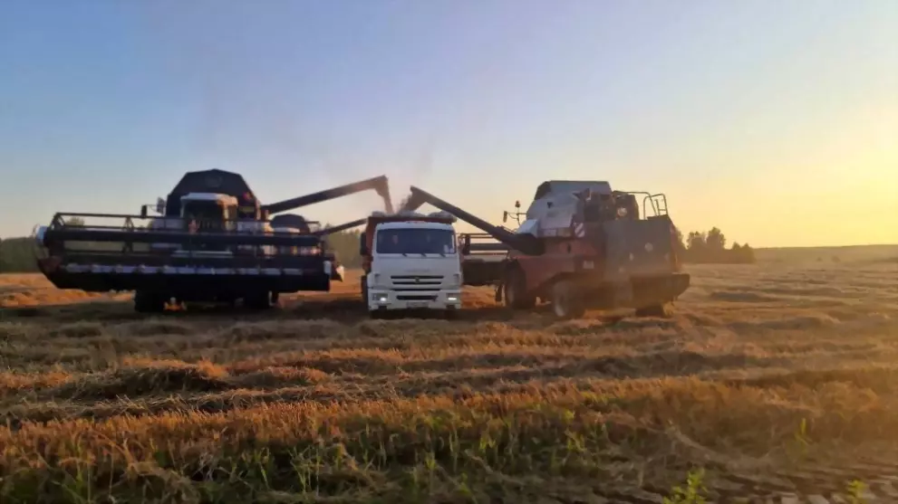Во Владимирской обла...