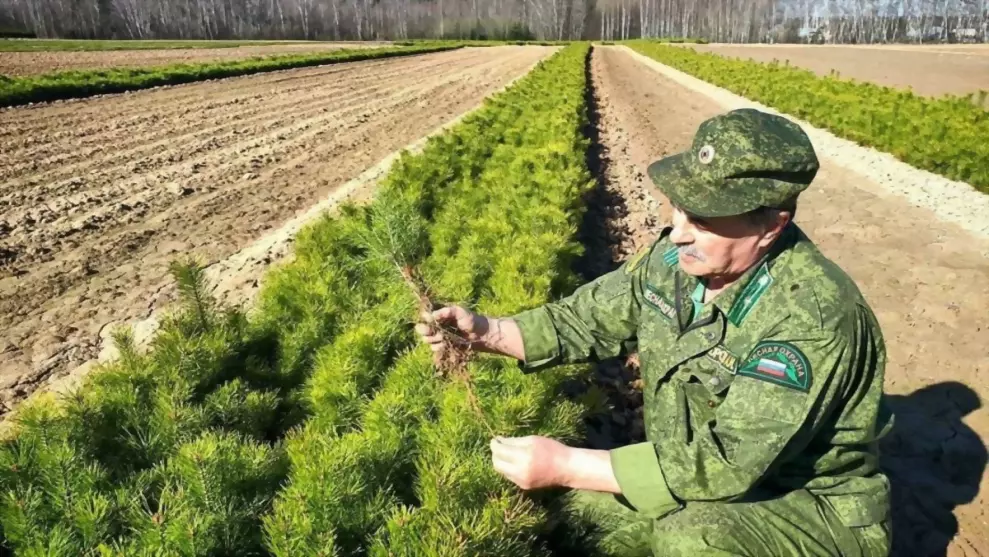 В 2022 году во Влади...