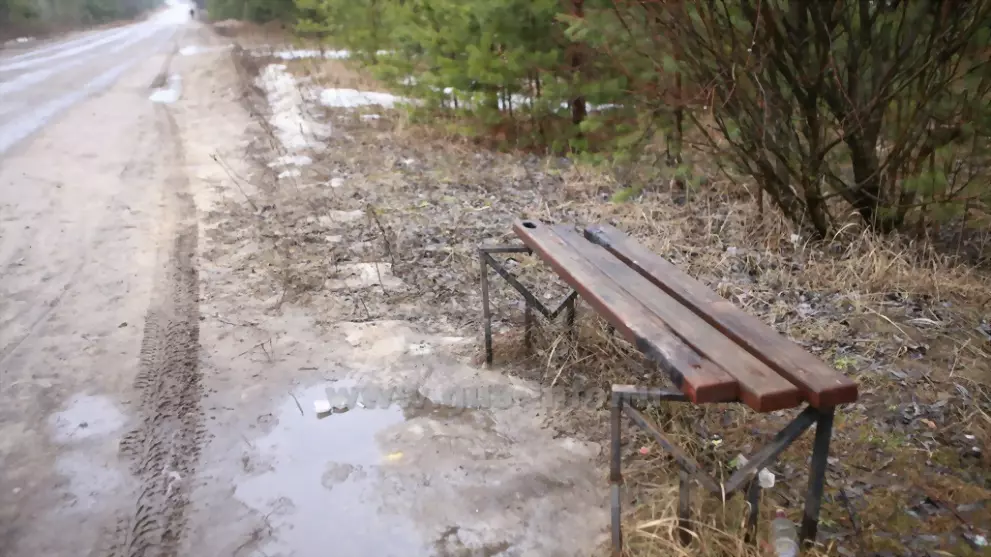 Дорога на городское...