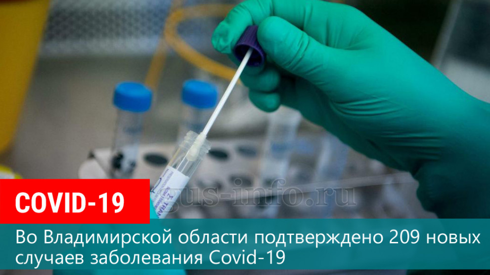 По состоянию на 29 июля во Владимирской области подтверждено 209 новых случаев заболевания Covid-19