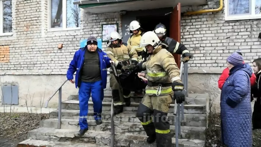 Пожарные города Гусь...