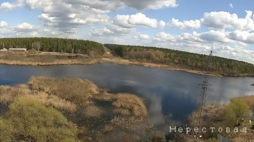 В нерестовой зоне го...
