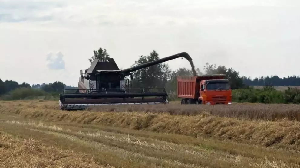Сбор урожая продолжа...