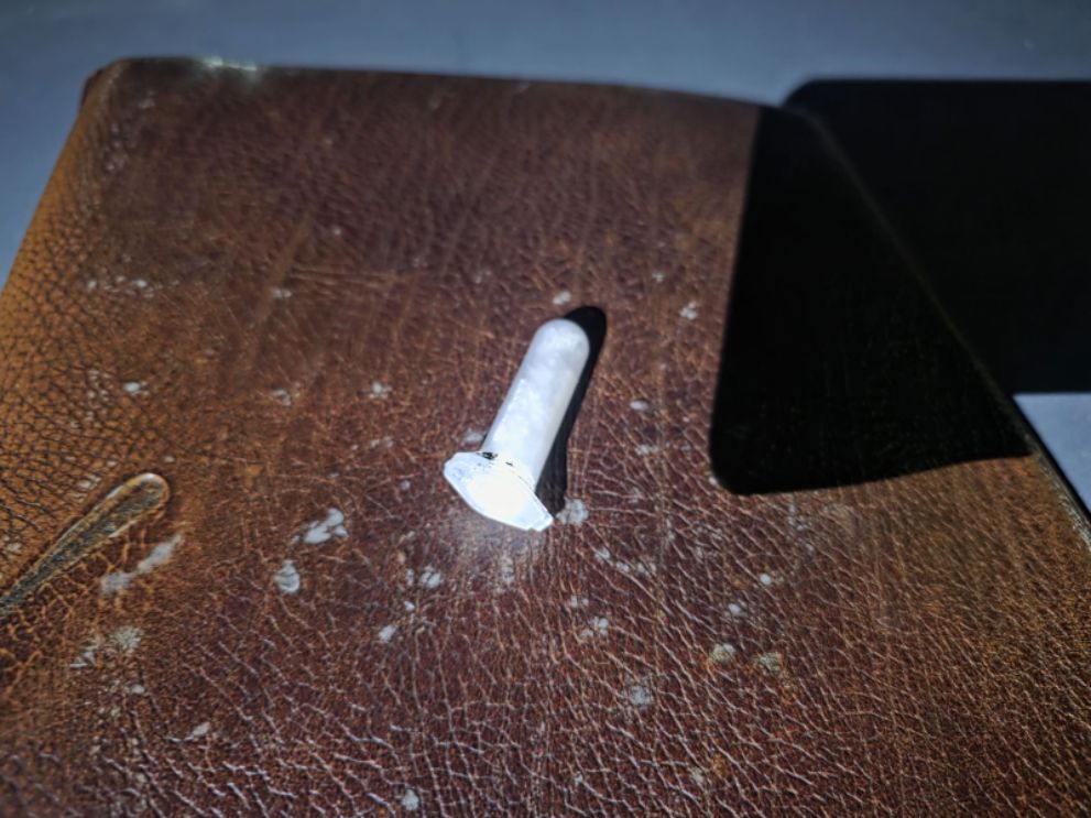 Двое жителей Гусь-Хр...