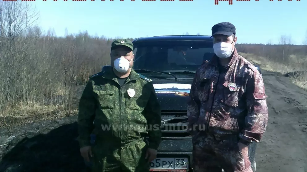 Государственные инсп...