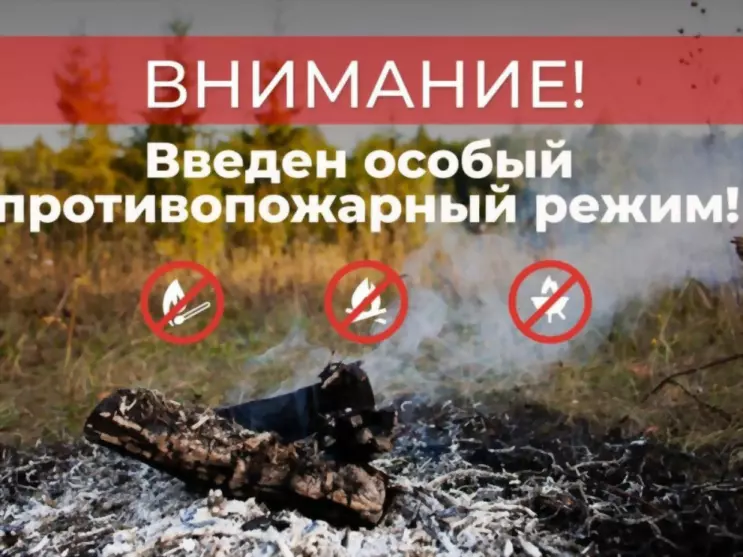 Во Владимирской обла...