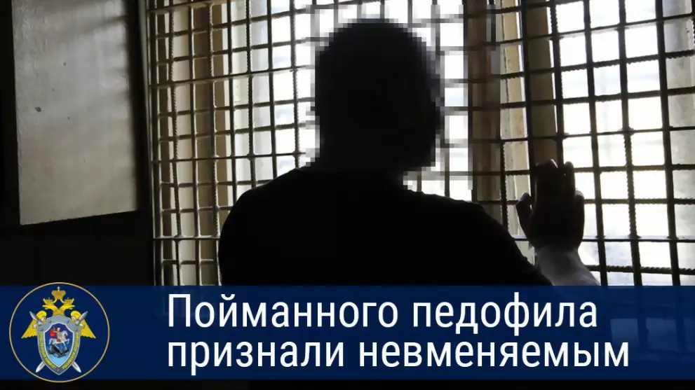 Пойманного педофила...
