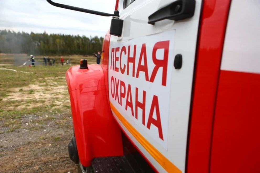 Крупных лесных пожар...