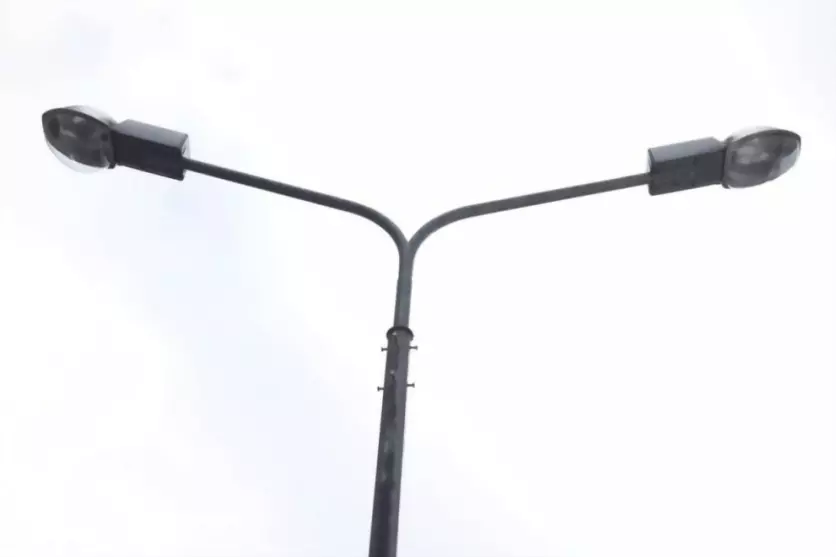 В 2025 году во Влади...
