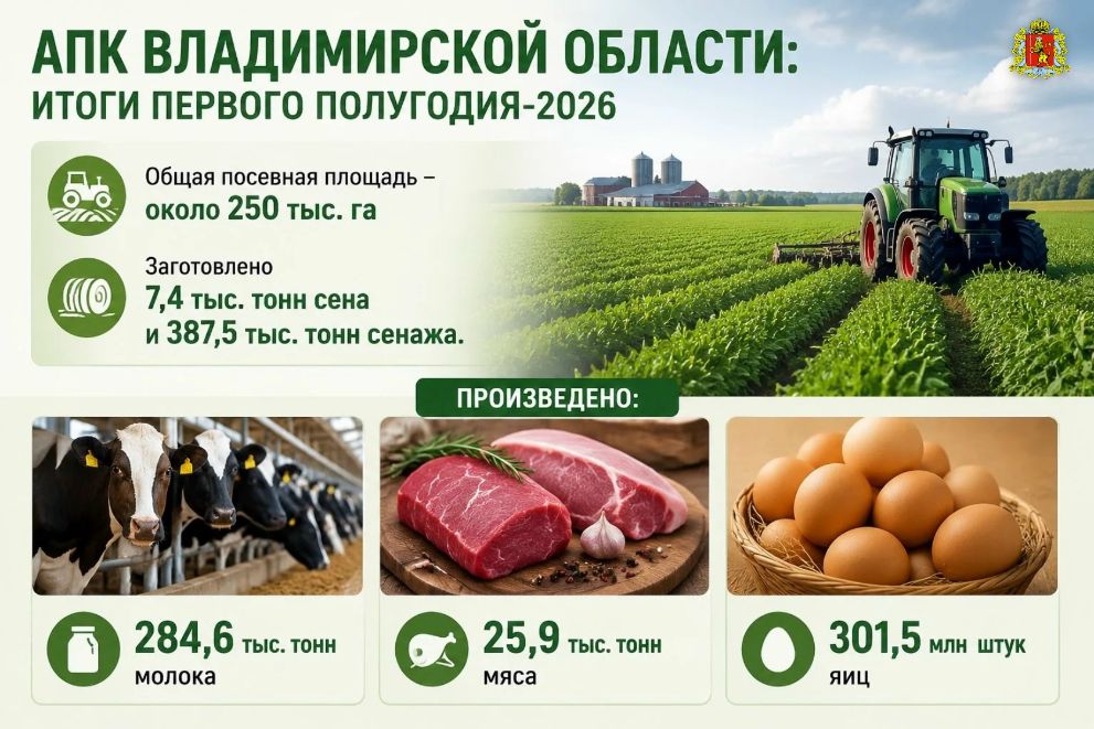 Во Владимирской обла...