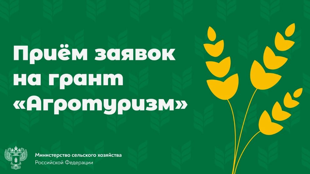 Во Владимирской обла...
