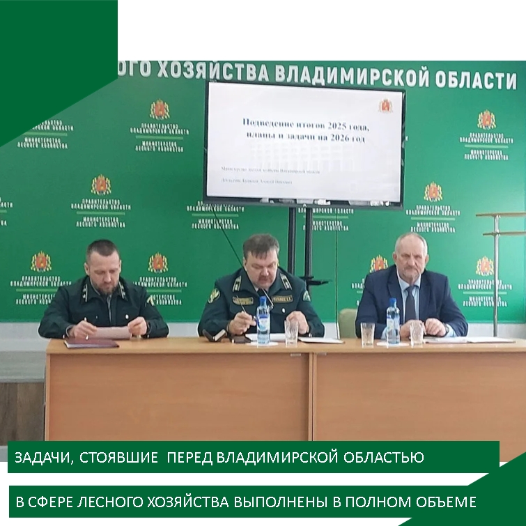 Во Владимирской обла...