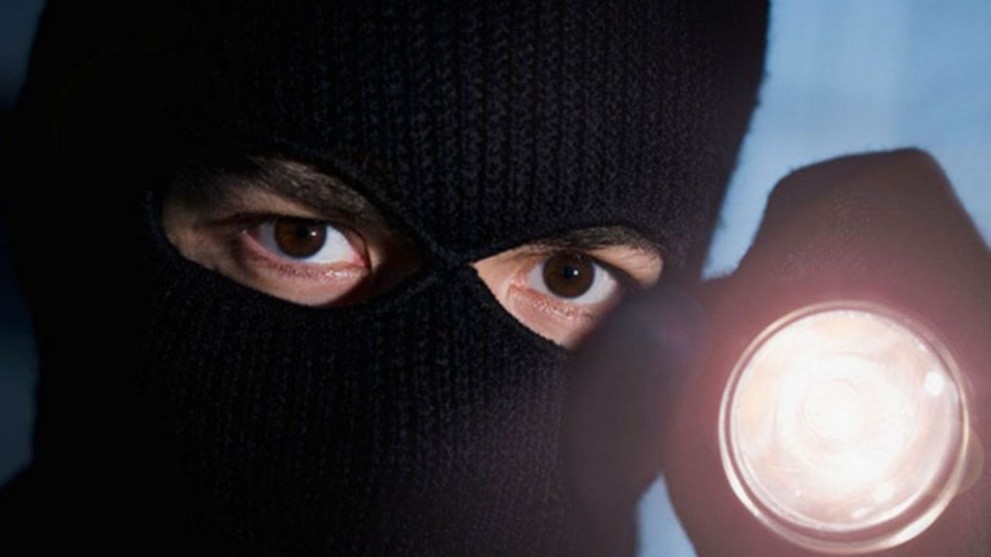 Житель Гусь-Хрусталь...