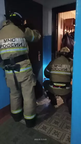 Сотрудники МЧС  оказ...