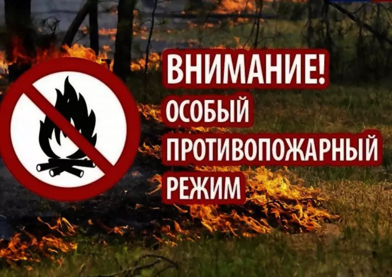 Во Владимирской обла...