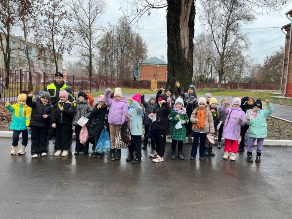 Госавтоинспекторы пр...