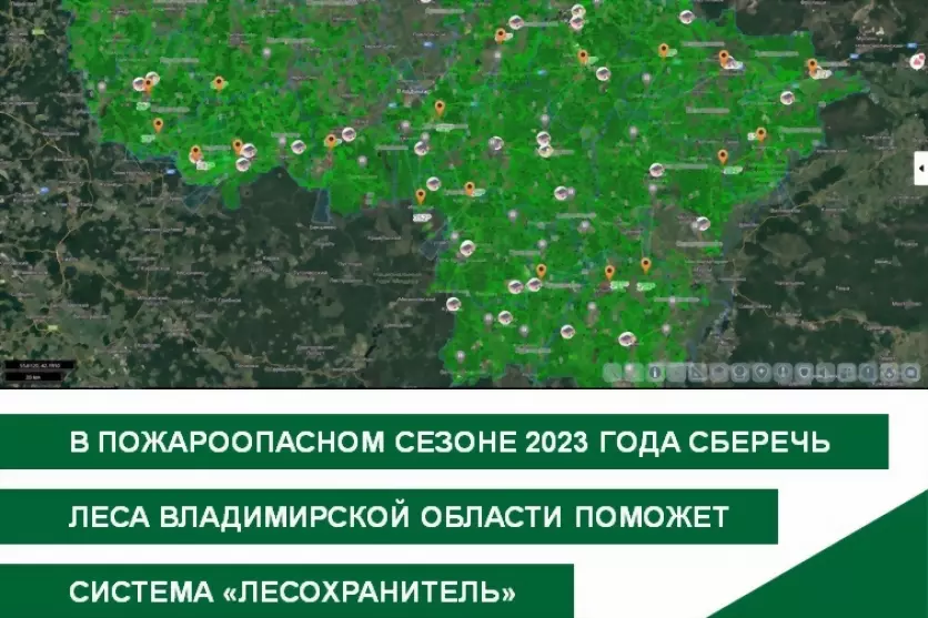 Защитить леса Владим...