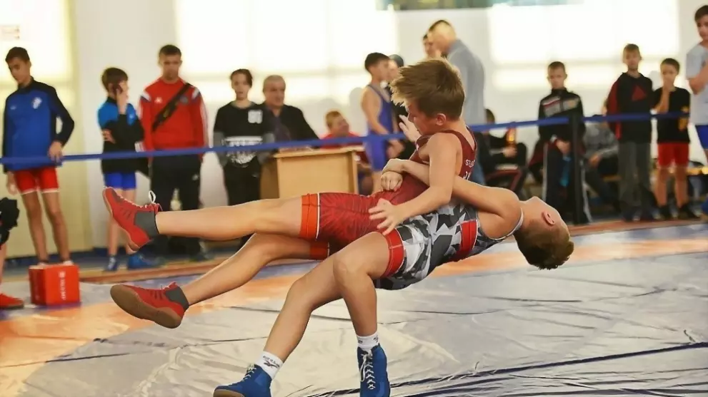 Спортсмены Гусь-Хрус...