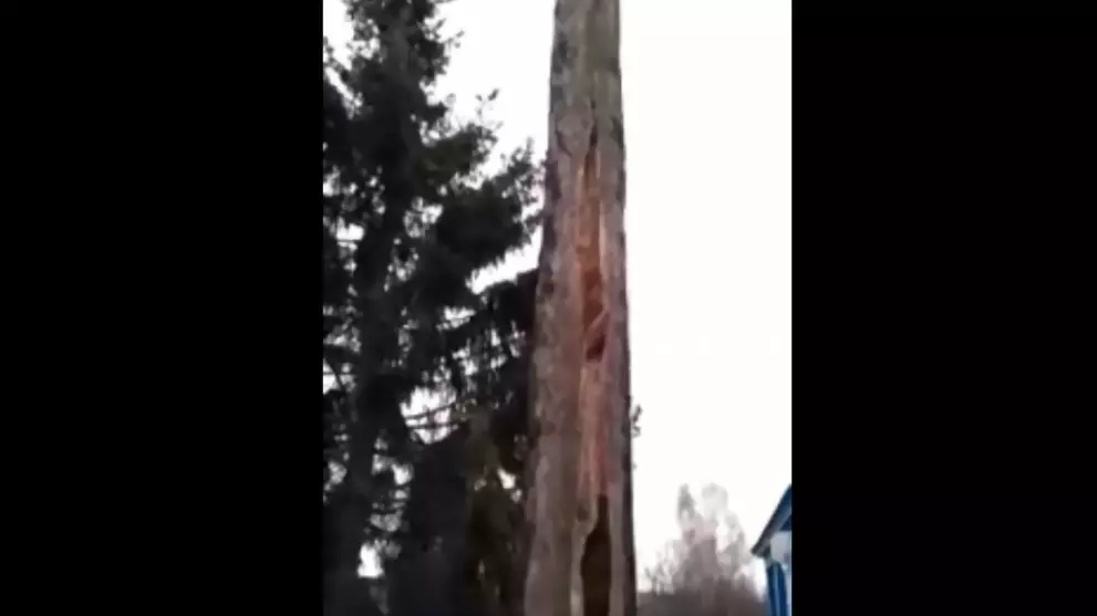В Гусь-Хрустальном р...