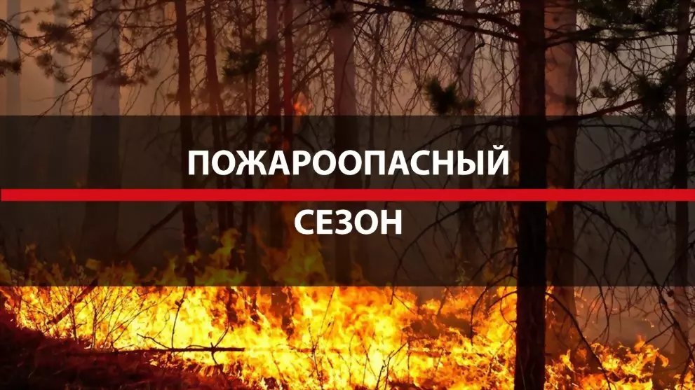 1 апреля во Владимир...