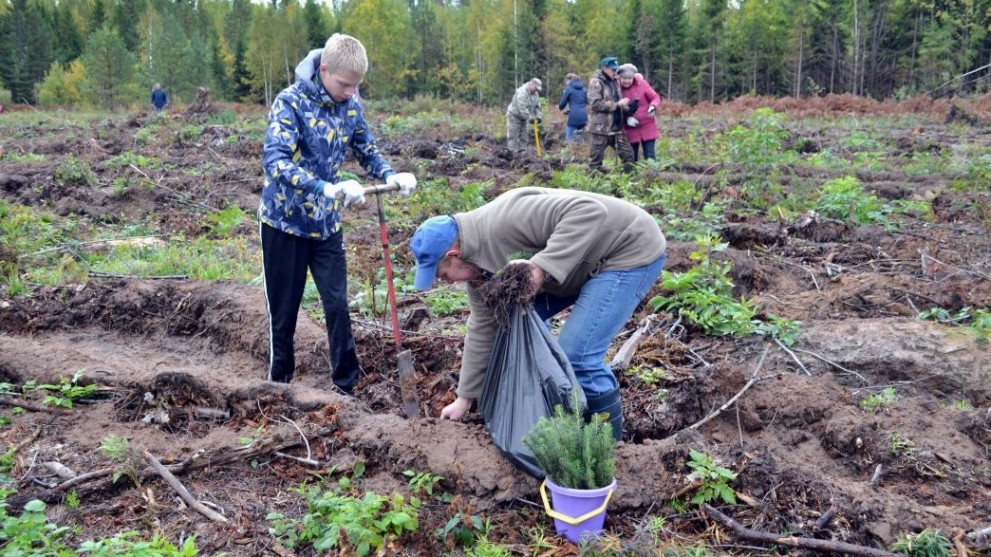 Во Владимирской обла...